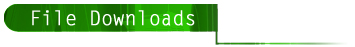File Downloads